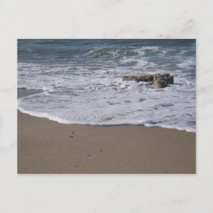 Carte postale Shore
