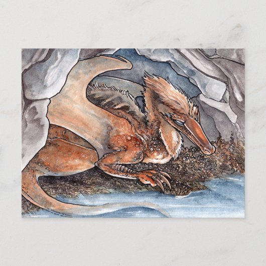 Carte Postale Shore Dragon (Devant)