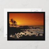 Carte Postale Shore Oahu Hawaii (Devant / Derrière)