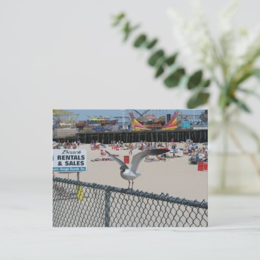 Carte Postale Shore Thing (Debout devant)