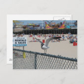 Carte Postale Shore Thing (Devant / Derrière)