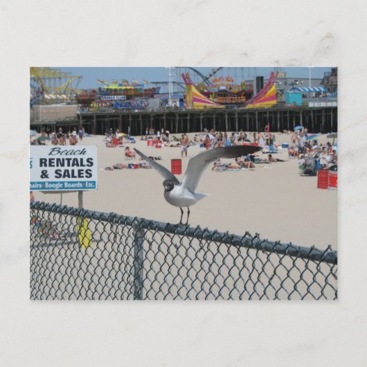 Carte Postale Shore Thing (Devant)