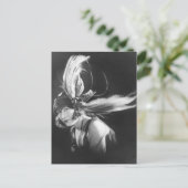 Carte Postale Showgirls - P0000511.JPG (Debout devant)