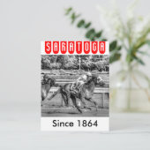 Carte Postale Shrewd One par Smarty Jones (Debout devant)