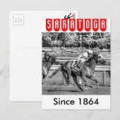 Carte Postale Shrewd One par Smarty Jones (Devant / Derrière)