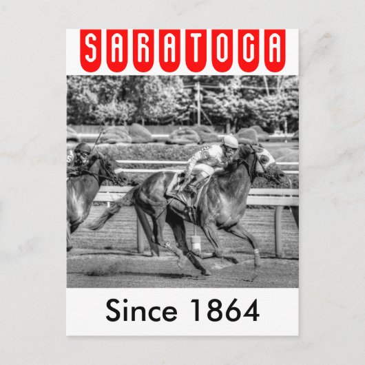 Carte Postale Shrewd One par Smarty Jones (Devant)