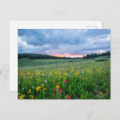 Carte Postale Shrine Pass Road, Red Cliff, États-Unis (Devant / Derrière)