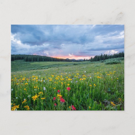 Carte Postale Shrine Pass Road, Red Cliff, États-Unis (Devant)