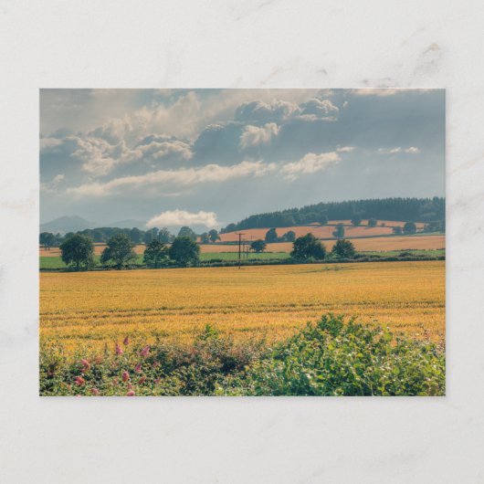 Carte Postale Shropshire Campagne Nuages (Devant)