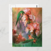 Carte postale si douce (Devant / Derrière)