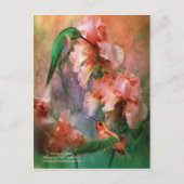 Carte postale si douce (Devant)