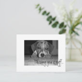 Carte Postale Si vous manquez, c'est du rouff !, si vous manquez (Debout devant)