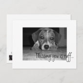 Carte Postale Si vous manquez, c'est du rouff !, si vous manquez (Devant / Derrière)