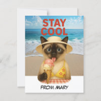 Siamese Cat lèche la crème glacée séjour cool