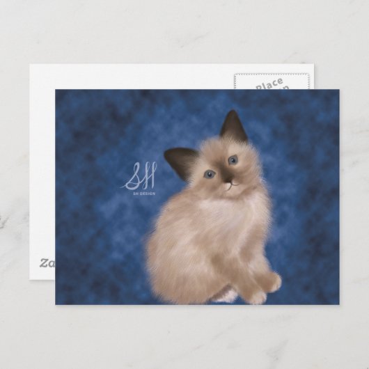 Carte Postale Siamese Kitten (Devant / Derrière)