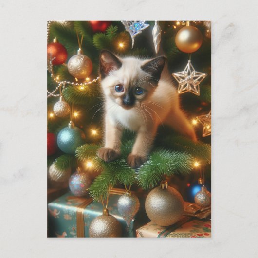 Carte Postale Siamese Kitten Noël (Devant)