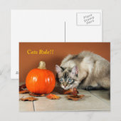 Carte postale siamoise règne des chats (Devant / Derrière)