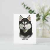 Carte Postale Sibérien Husky (Debout devant)