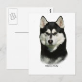 Carte Postale Sibérien Husky (Devant / Derrière)