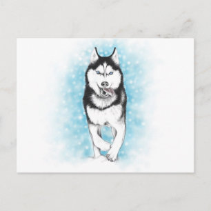 Carte Postale Sibérien Husky