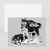 Carte Postale sibérien husky (Devant / Derrière)