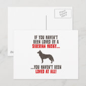 Carte Postale Sibérien Husky (Devant / Derrière)