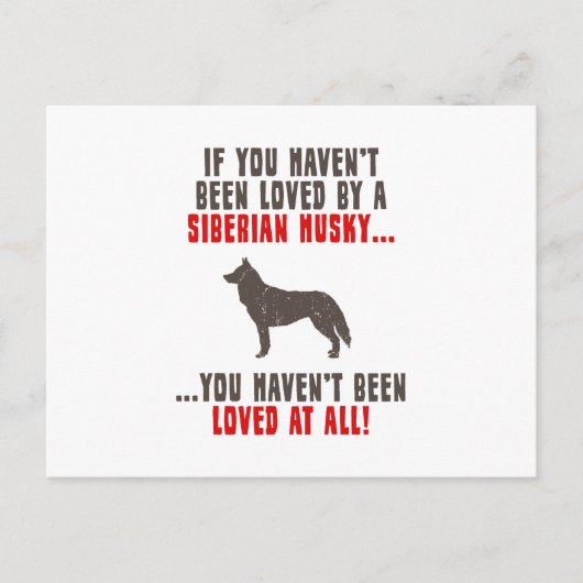 Carte Postale Sibérien Husky (Devant)