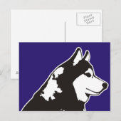 Carte Postale Sibérien Husky (Devant / Derrière)