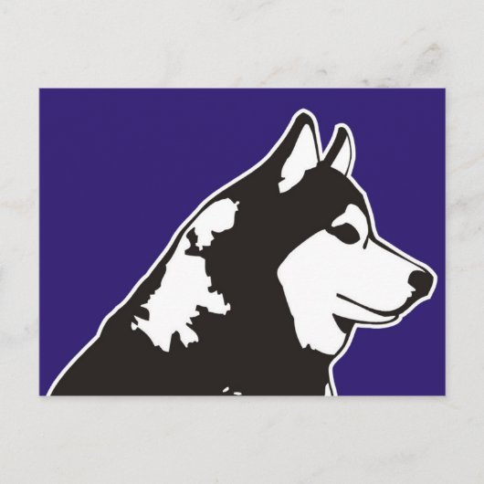 Carte Postale Sibérien Husky (Devant)