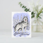 Carte Postale Sibérien Husky (Debout devant)