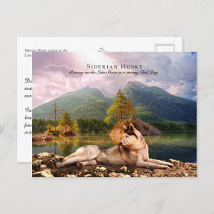 Carte Postale Sibérien Husky à Lakeshore à l'automne - Collectif