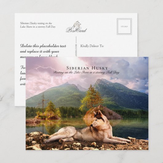 Carte Postale Sibérien Husky à Lakeshore à l'automne - Collectif (Devant / Derrière)
