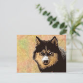 Carte postale Sibérienne Husky (Debout devant)