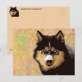 Carte postale Sibérienne Husky (Devant / Derrière)