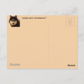 Carte postale Sibérienne Husky (Dos)
