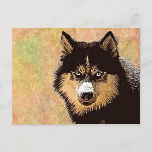 Carte postale Sibérienne Husky