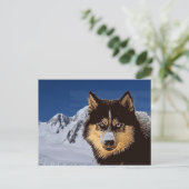 Carte postale Sibérienne Husky (Debout devant)