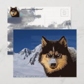 Carte postale Sibérienne Husky (Devant / Derrière)