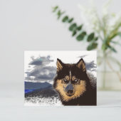Carte postale Sibérienne Husky (Debout devant)