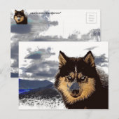 Carte postale Sibérienne Husky (Devant / Derrière)