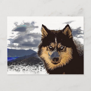 Carte postale Sibérienne Husky