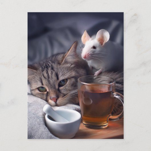 Carte Postale Sick Kitty Repose Dans Le Lit (Devant)