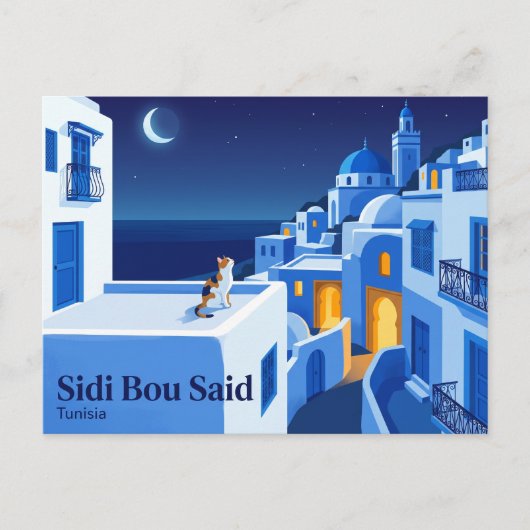 Carte Postale Sidi Bou Said Tunisie (Devant)