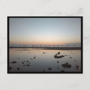 Carte Postale Sidi Kaouki (Maroc)