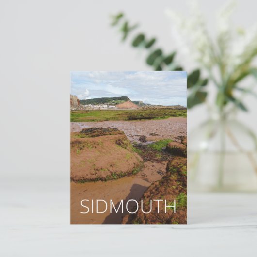 Carte Postale Sidmouth (Debout devant)