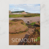 Carte Postale Sidmouth (Devant)