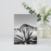 Carte Postale Siècle à Fort Davis (Debout devant)