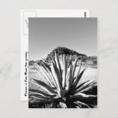 Carte Postale Siècle à Fort Davis (Devant / Derrière)