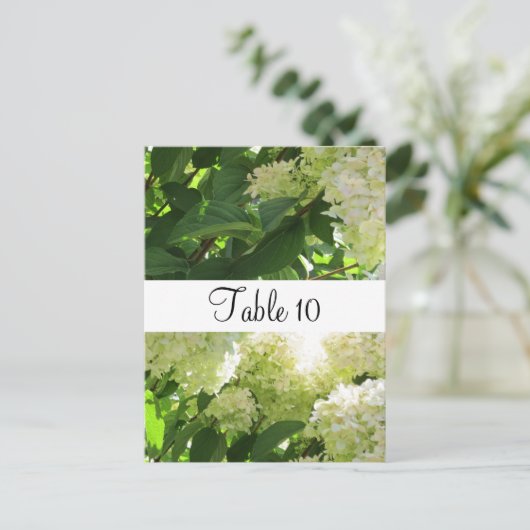Carte Postale Siège de table White Hydrangeas (Debout devant)