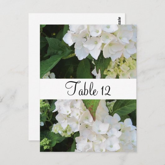 Carte Postale Siège de table White Hydrangeas (Devant / Derrière)